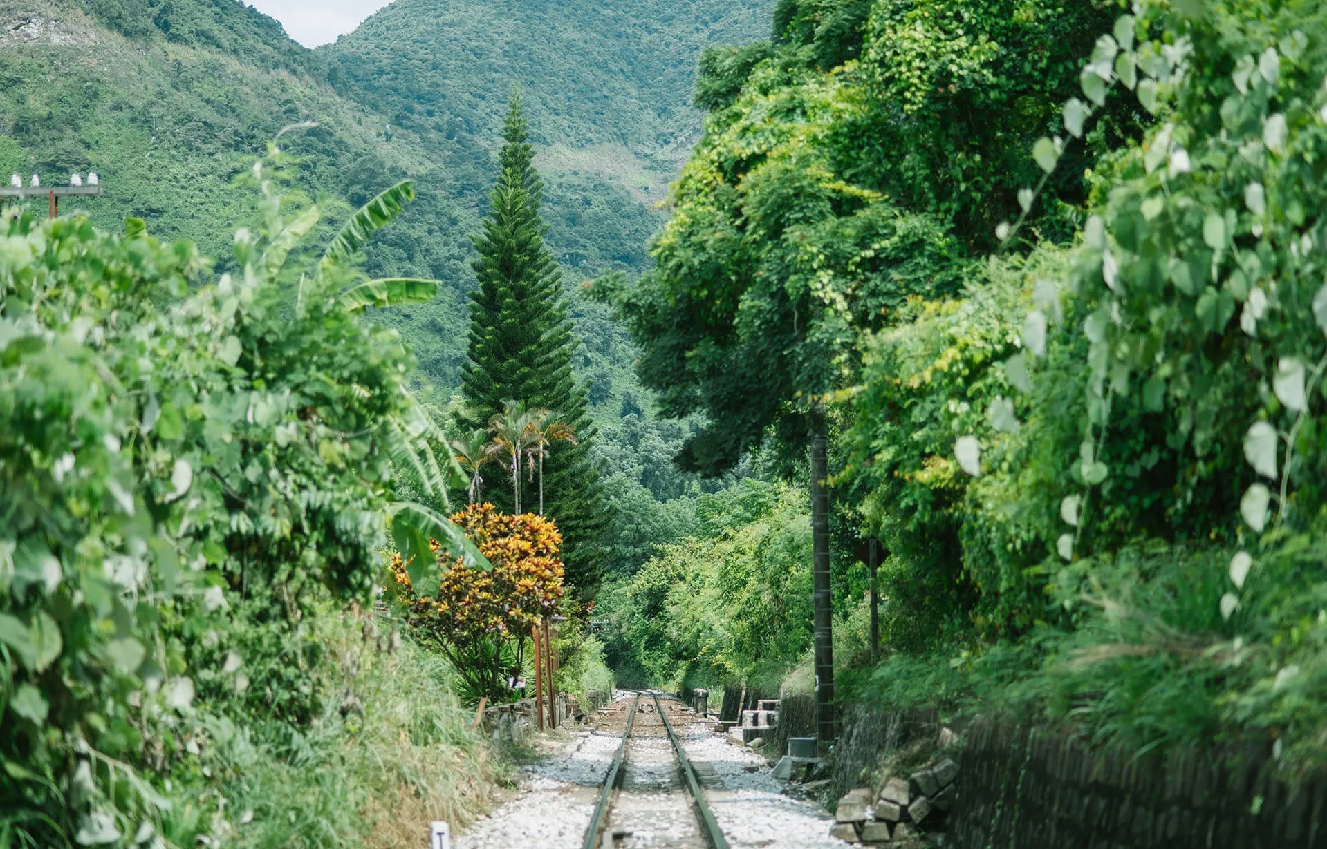 duong-tau-viet-nam-09-smarttravel